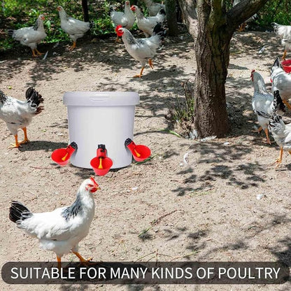 10 Bebedouro Automático Copinho Copo Bebedor Aves Frangos