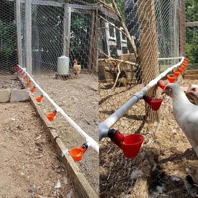 10 Bebedouro Automático Copinho Copo Bebedor Aves Frangos